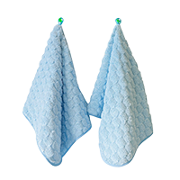 Kairos Cloud Touch Premium Microfiber Hand Towel Set of 2